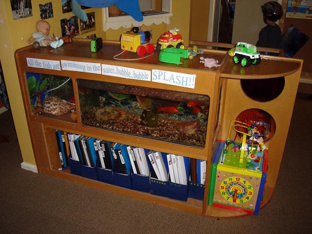 Cabinet filled with books